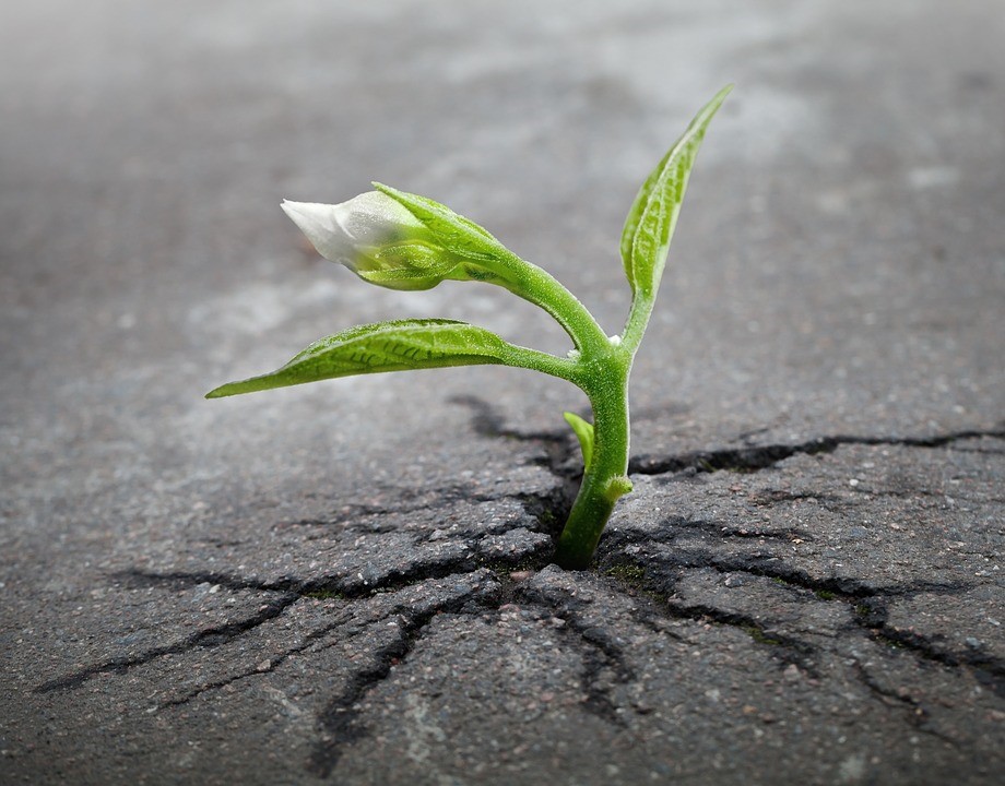 A reményről, és a nehézségekből származó növekedésről