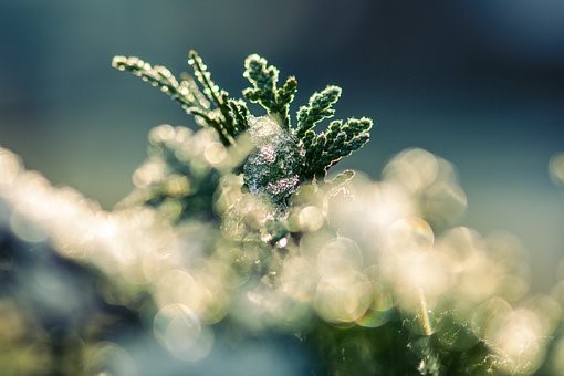 Kép: pixabay.com