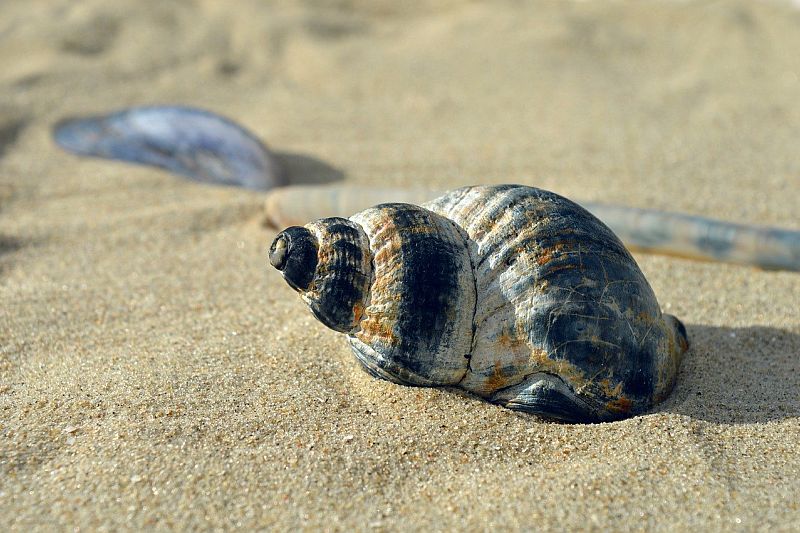 Tanuljunk meg jól nyaralni ! Tanuljunk meg jól nyaralni !